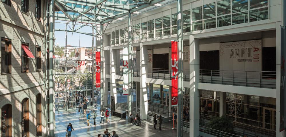 MSc Circular Economy and Sustainable Innovation – ESDES Business School