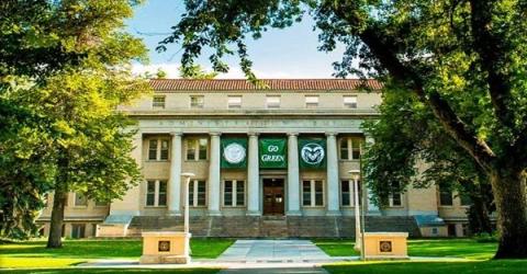 Colorado State University