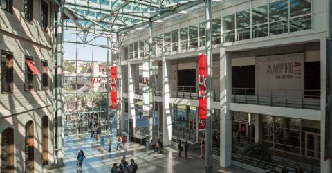 ESDES School of Business and Management